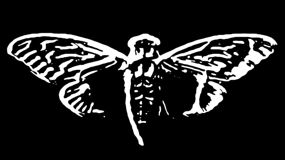 Cicada 3301